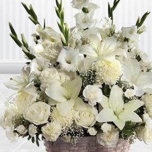 Meet your Posher, Ali